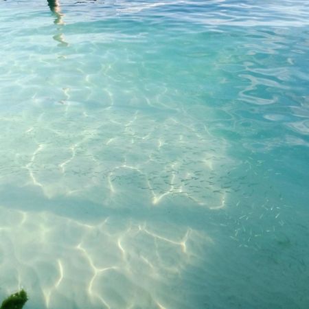 Hidden Island Glamping Isla Mujeres Hotel Ngoại thất bức ảnh