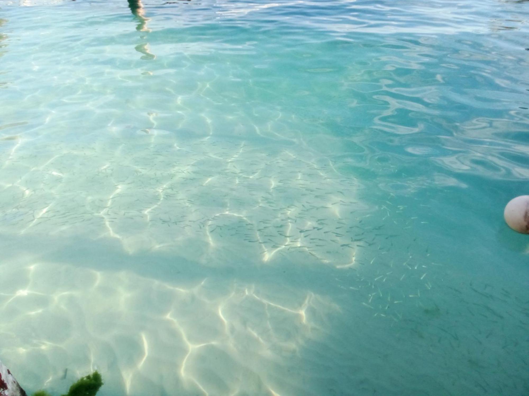Hidden Island Glamping Isla Mujeres Hotel Ngoại thất bức ảnh